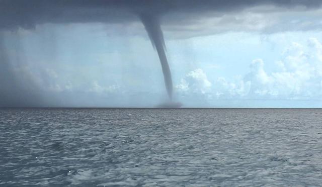 天空中真的会下鱼雨吗?