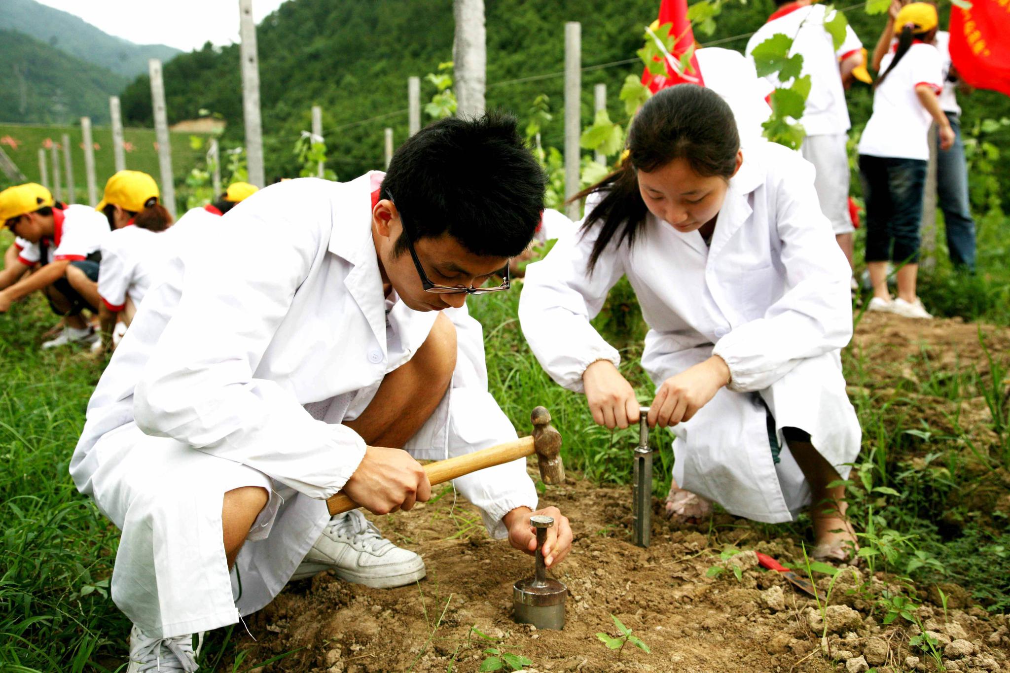 今年起,农村土地新增三大补贴,不种地也能拿,最高每亩1500