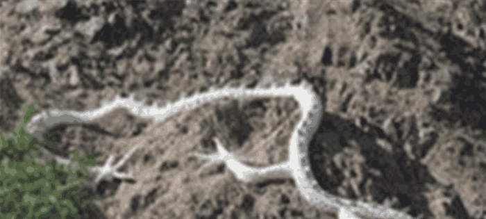 科学家不敢公开的真相: 专门处理灵异事件的0