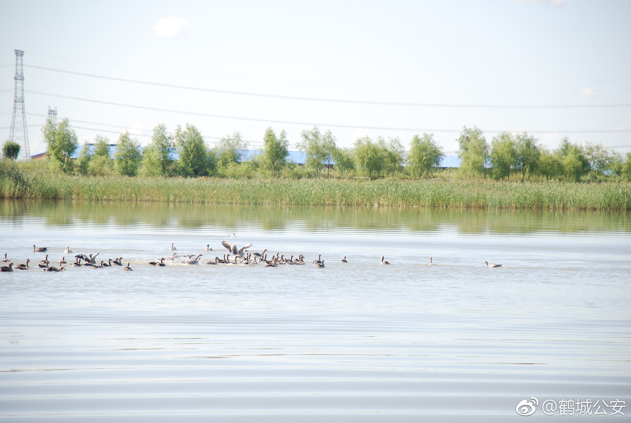 为了进一步落实从优待警措施