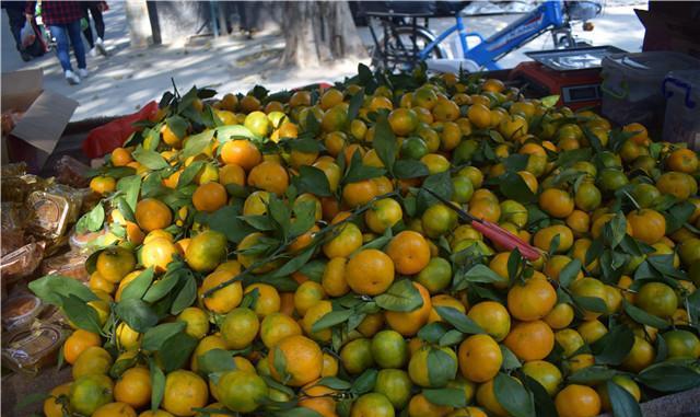 老汉拉一车南方特产到北方卖, 十块钱四斤路人