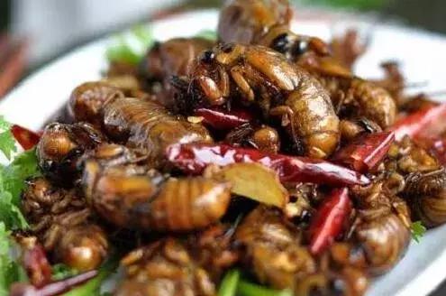 云南昆虫宴,你敢下口吗?