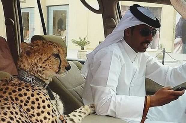 都说迪拜的人很有钱,那么为何福布斯榜却不见