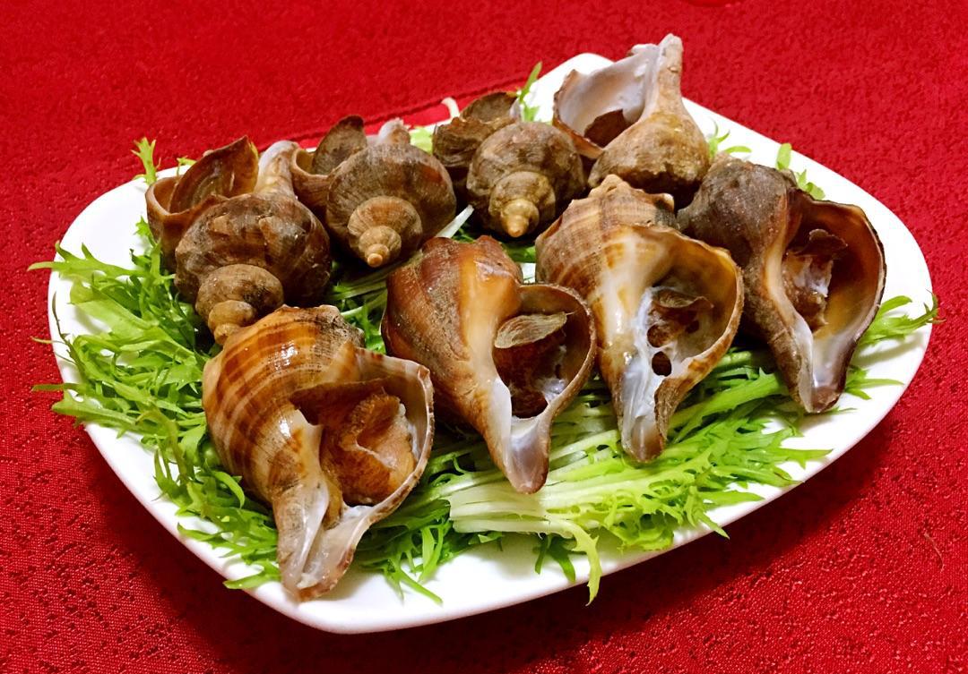 海螺孩子可以吃吗图片_纵览新闻