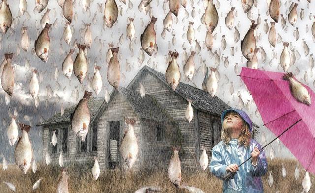 天空中真的会下鱼雨吗?