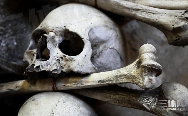 千年古尸中发现致命细菌,曾在14世纪灭掉欧洲