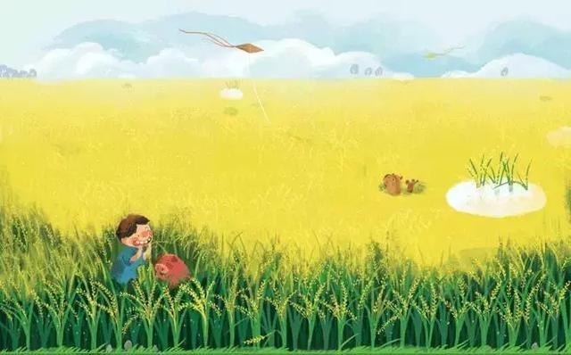 老教师忠告:相信大家看完对小学教育的认识,会