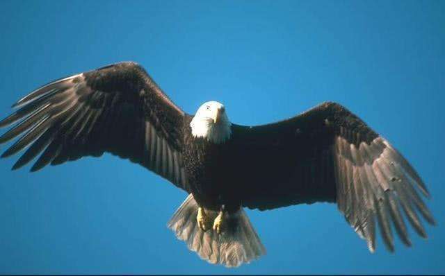 抱最大的希望做最坏的打算 如何平衡期待与现实