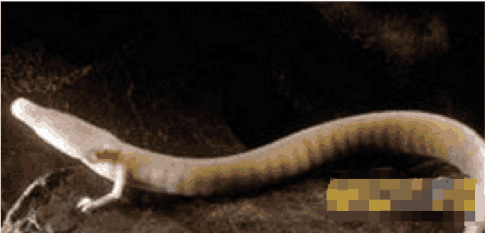 家不敢公开的真相: 专门处理灵异事件的091部