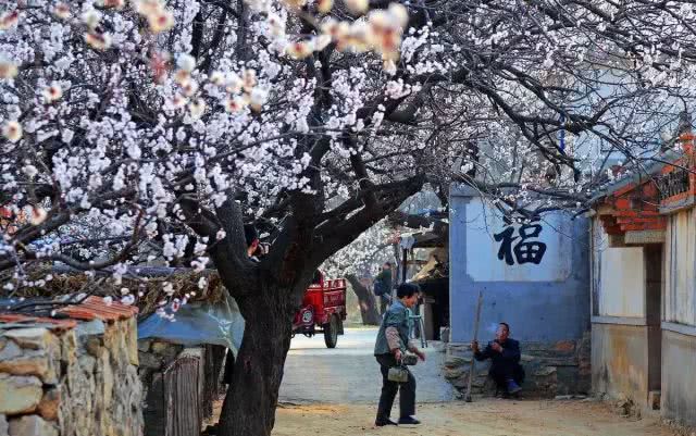 这哪里像是烟台，简直是……