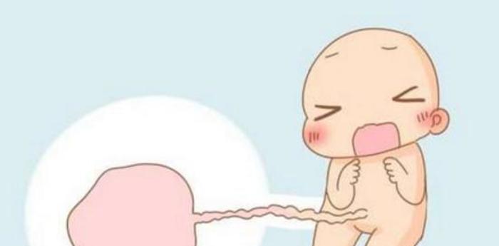 生完孩子后，你的胎盘怎么处理的？医生还给你了吗？