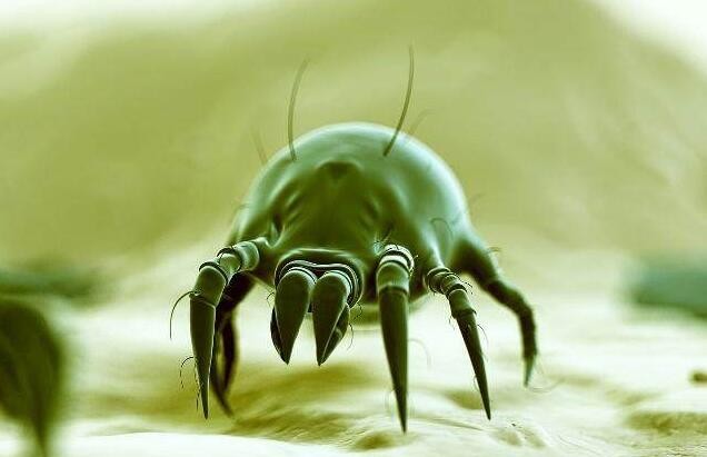 过敏性咳嗽难治愈,医生:通过调理,可以将咳嗽发