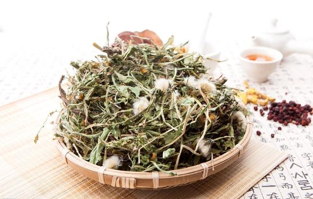 这种野草能治肝炎、肝硬化腹水,吃完就可能痊