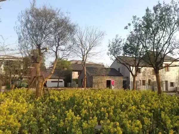 美丽乡村规划设计案例展示 - 无锡阳山田园东方