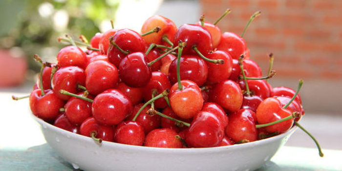 每天喝樱桃泡酒,竟然有这么多神奇的功效,收藏