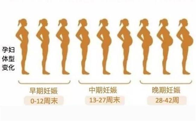 肚子|怀孕|羊水_新浪新闻