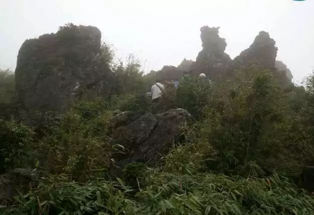 ���μǡ������ɾ���ũ��