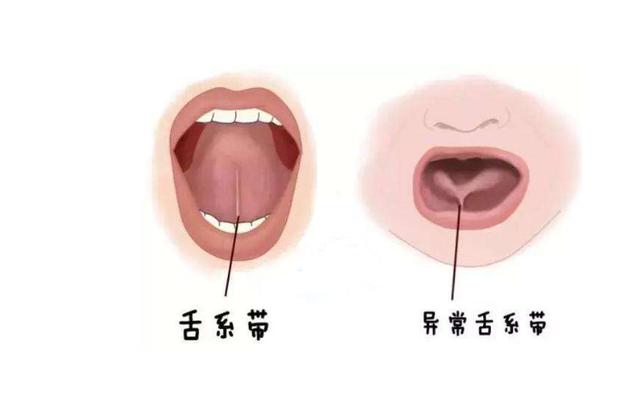 人口手足舌牙耳目_认一认5ppt下载(3)
