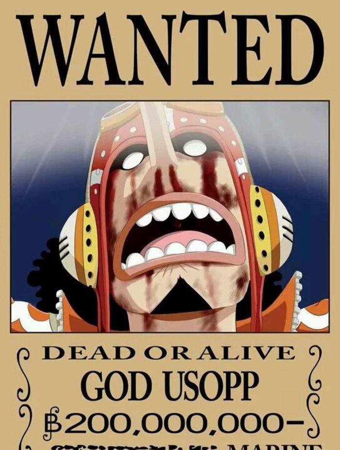 海贼王赏金排名图片