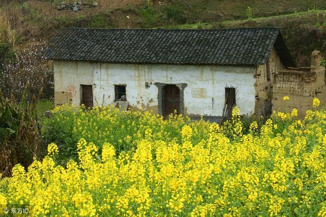 2018年农村危房改造政策解读 附申请条件和补