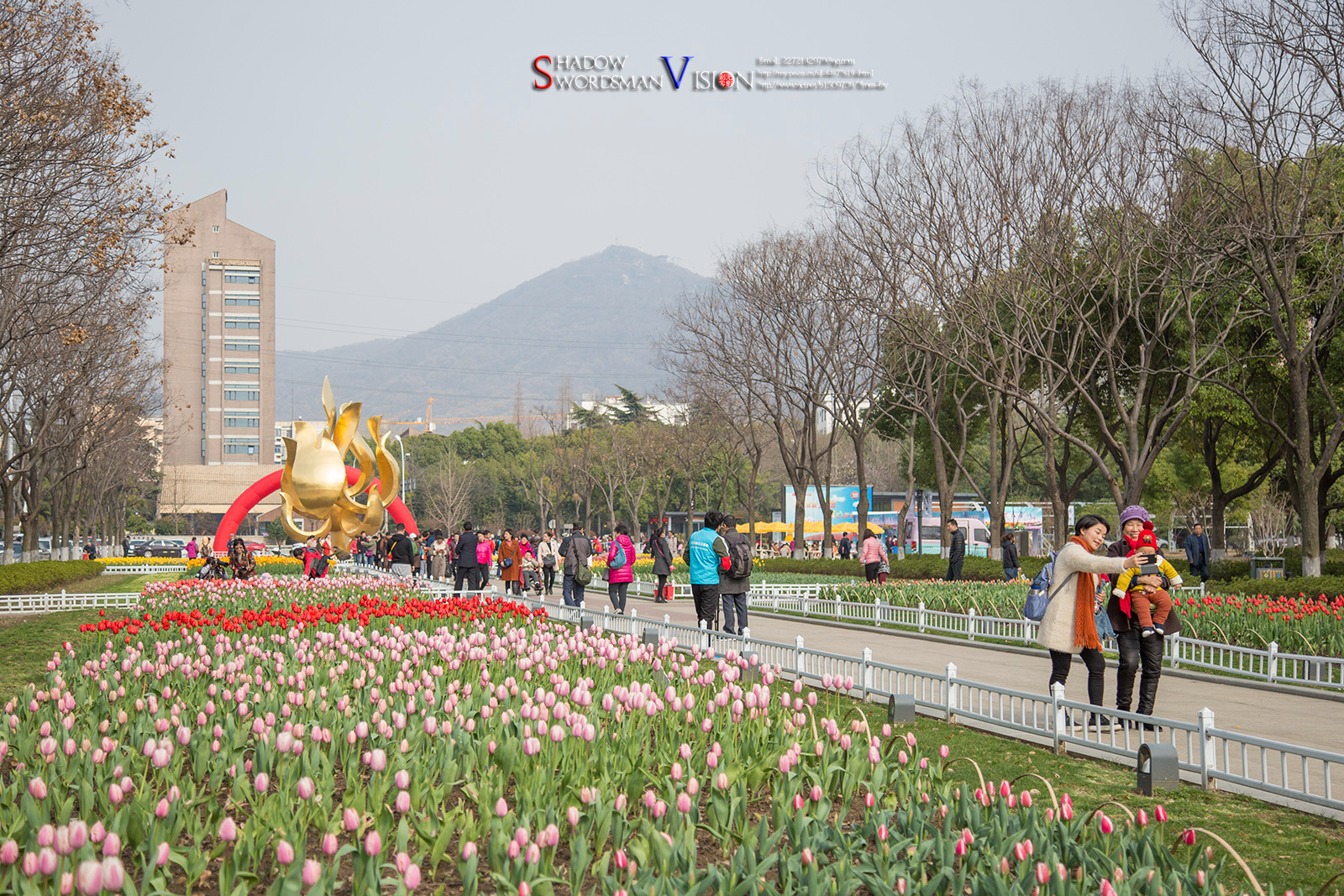 春暖花开的季节|情侣园|南京|郁金香_新浪新闻