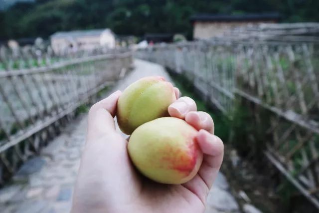 攻略 | 厦门—云水谣游记