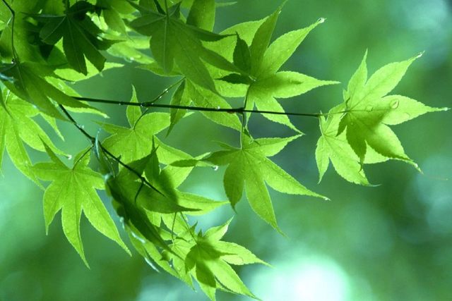 一个人最该读什么书?