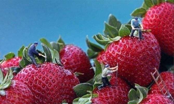 如果人类突然变小了之后, 生活将是这样的。