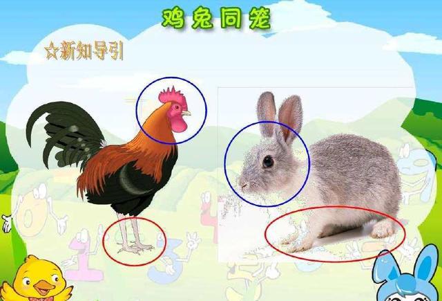 呼市智考:一个"鸡兔同笼"引出的7种数学思维方式