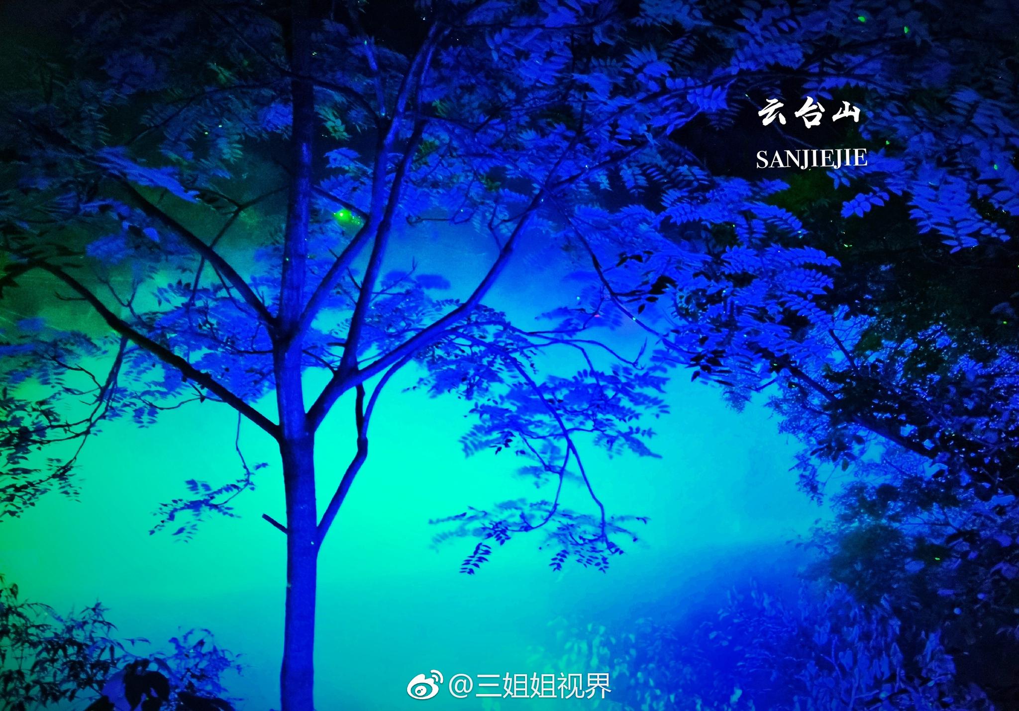 《云溪夜游》，是云台山景区最新的亮点;缭乱了游人双眼