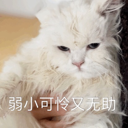 表情疑问NO.302:嗯…我要?你再过来猫咪叫哭在厕包晕所情表图片