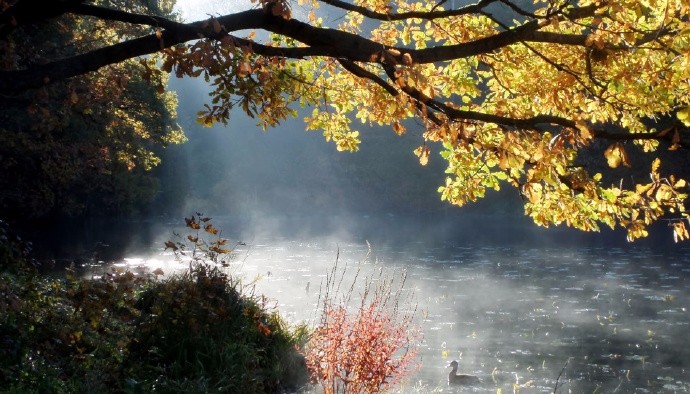 洛阳城里见秋风,欲作家书意万重