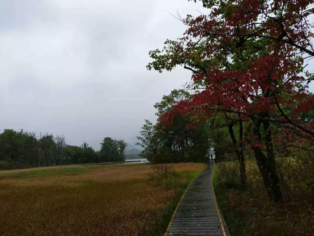 ���μǡ������ɾ���ũ��