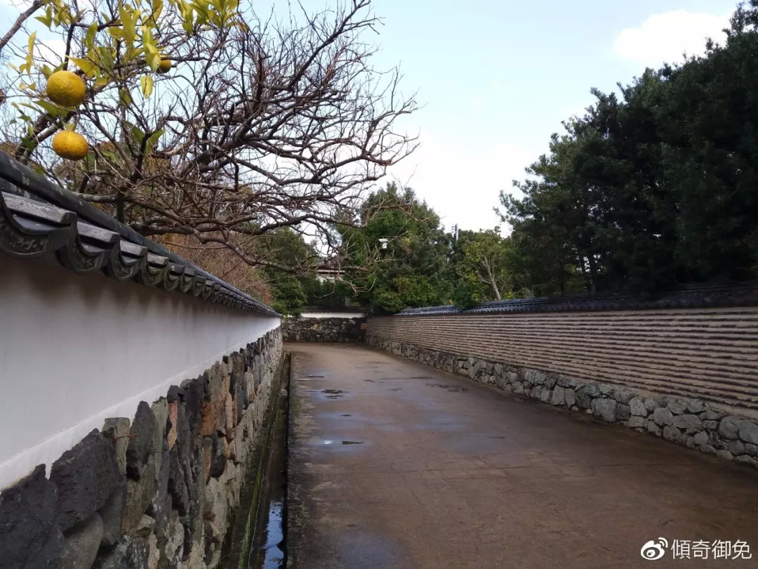 游记|明治维新150年后再访长州藩,我发现了日