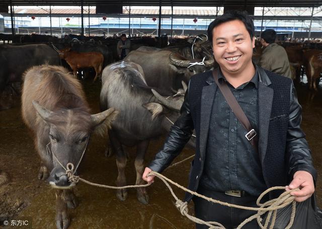 父姨夫不是亲,牛屎马屎不是粪,是什么意思?