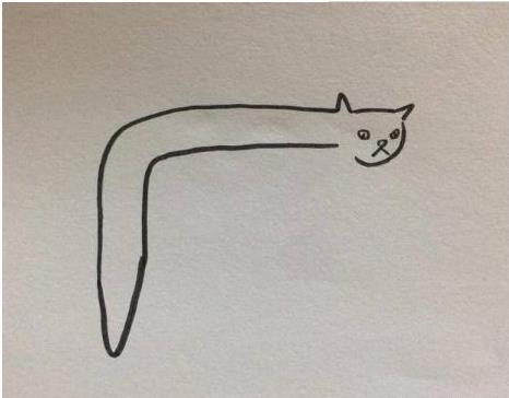 老师布置个任务回家花猫,收上来的作业让人哭笑不得