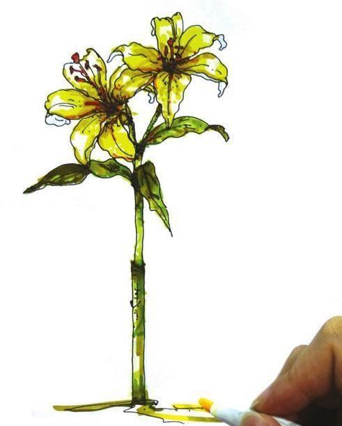 云裳仙子百合花,教你怎么用马克笔画出它的高