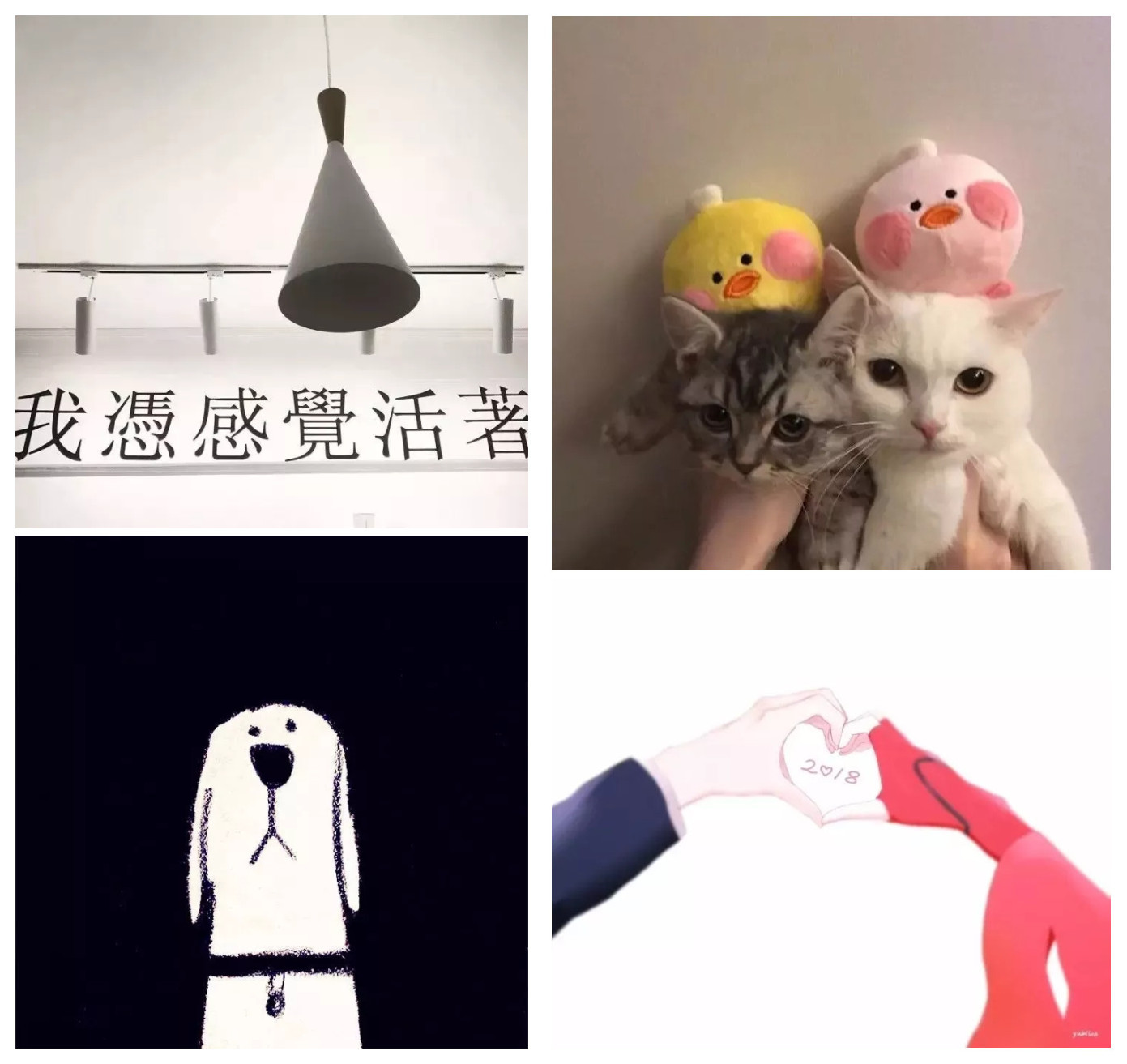 一组有趣背景图 | 生活真危险,早睡别秃头拿图戳 坪哟