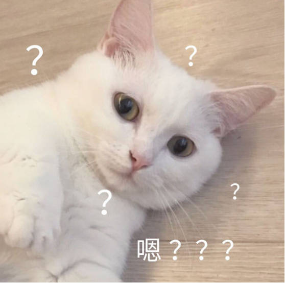 表情疑问手机图片自拍大全动作的表情包NO.302:嗯…我要?你再过来1猫咪叫图片