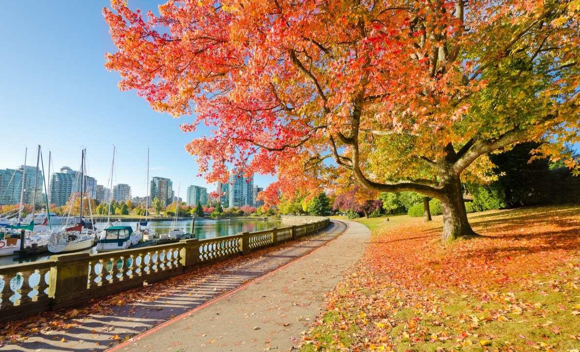 出事了!中国总领馆发布警告:加拿大这个著名景点你暂时别去了! 图片