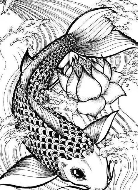 鱼最简单的画法_老虎最简单的画法_最简单的动物画法-圈子花园图片