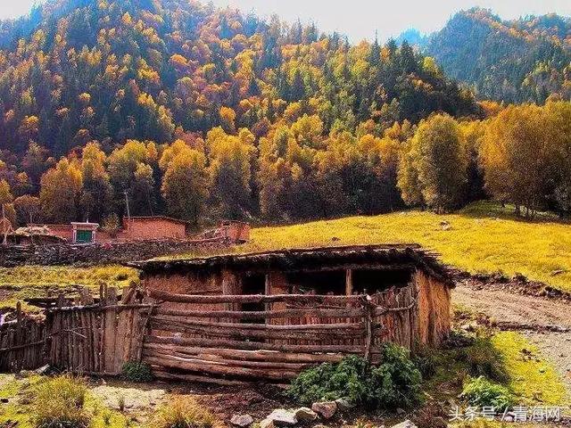 最新城市排名!咱们青海这些地方再也不是十八