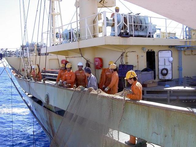 一次捕捞上亿价值,揭开远洋捕鱼神秘面纱?