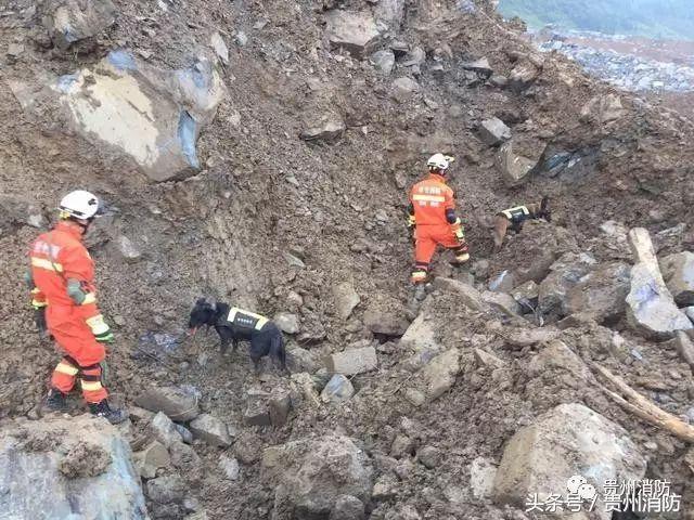 贵州这里的退役军人有福了,以后可免费乘车!