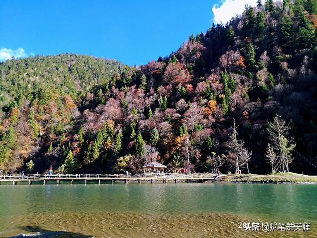 最近两年黑水奶子沟红叶很火