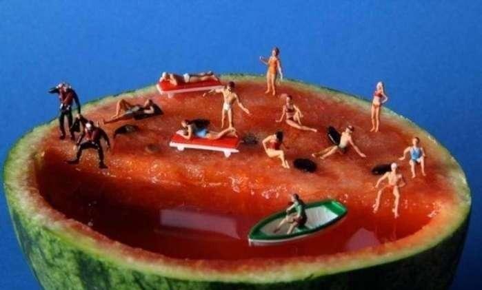 如果人类突然变小了之后, 生活将是这样的。