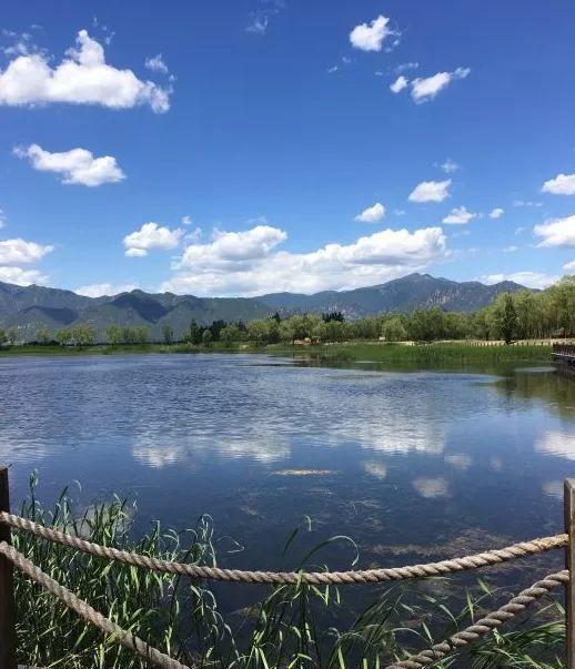 去北京这个最大,最美的湿地公园,感受大自然带给我们的美好!