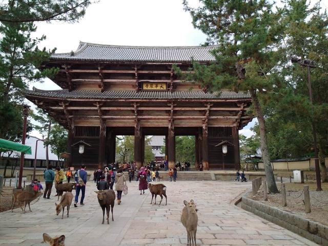 日本购物攻略:东京、大阪、京都、名古屋、奈