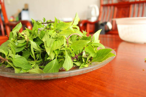 中餐厅里苏有朋用的九层塔是啥菜?泰国叫它