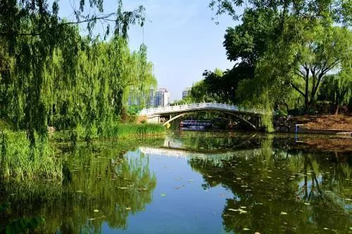 在北京必去的18个免费公园,推荐!